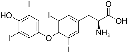 T4 (Levothyroxine)